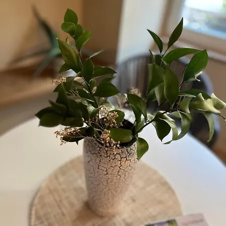 Petit Cocon Alsacien A Barr Barr