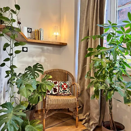 Petit Cocon Alsacien A Barr Apartament Barr