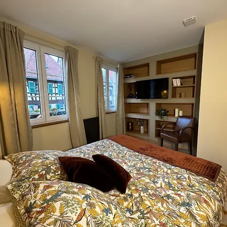 Apartament Petit Cocon Alsacien A Barr