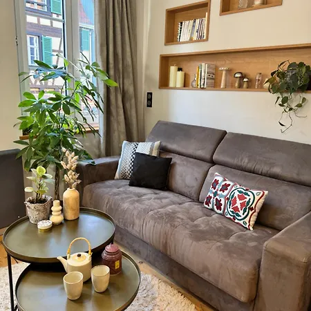 Petit Cocon Alsacien à Appartement Barr
