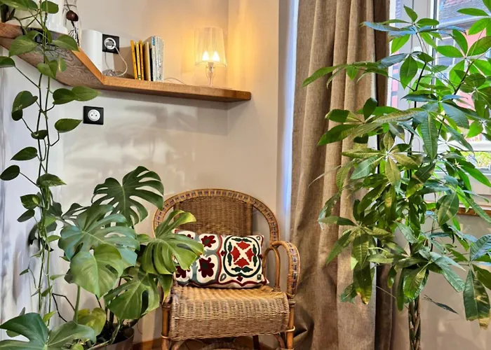 Petit Cocon Alsacien A Appartement Barr