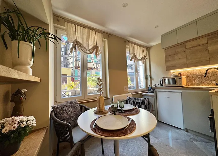 Appartement Petit Cocon Alsacien A *